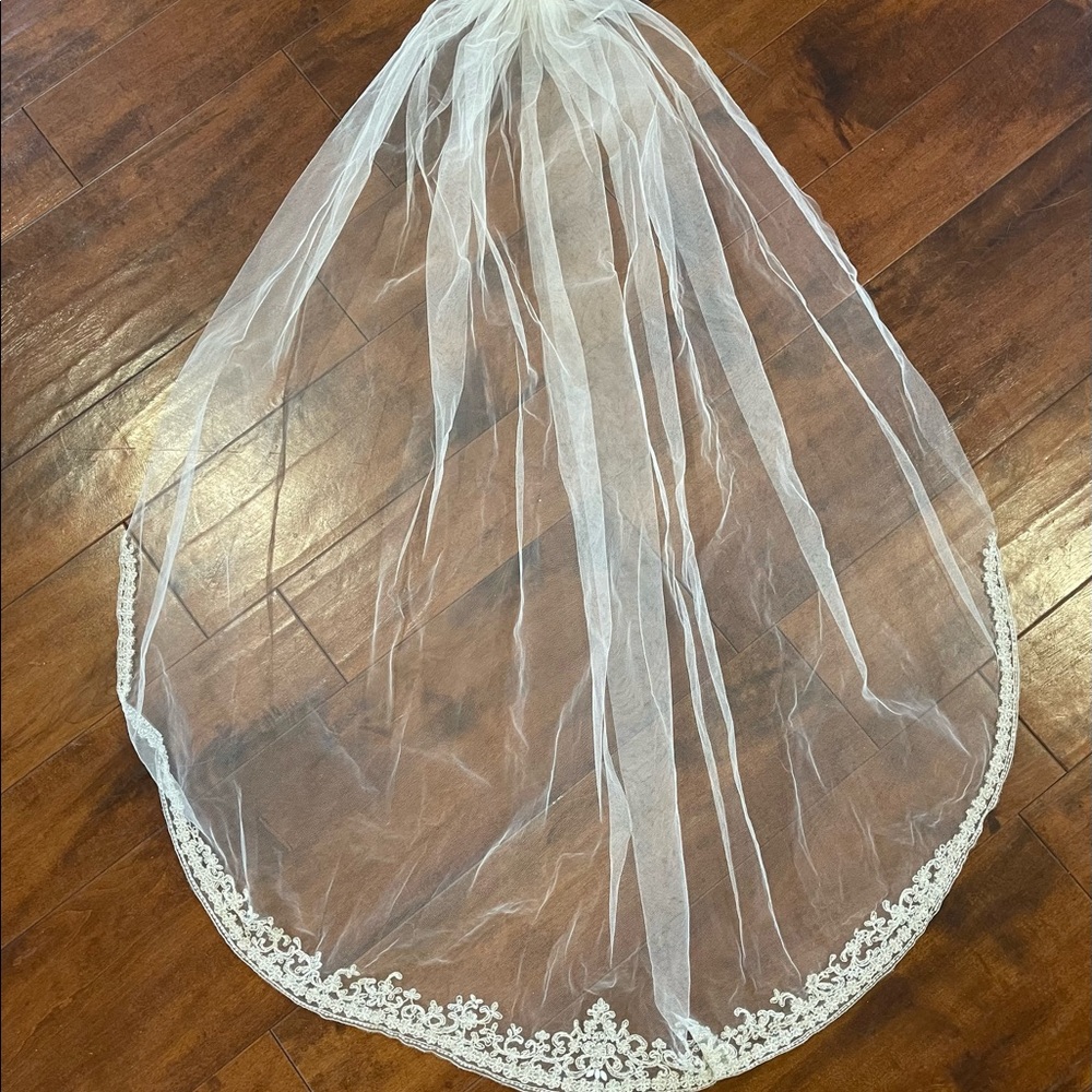 Gorgeous new wedding veil